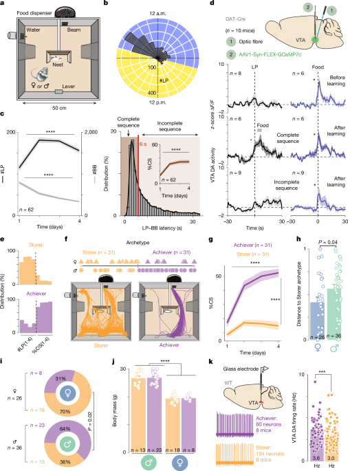 Dopaminergic mechanisms of dynamical social specialization - Nature