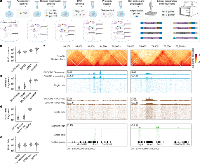 Gene regulatory landscape dissected by single-cell four-omics sequencing - Nature