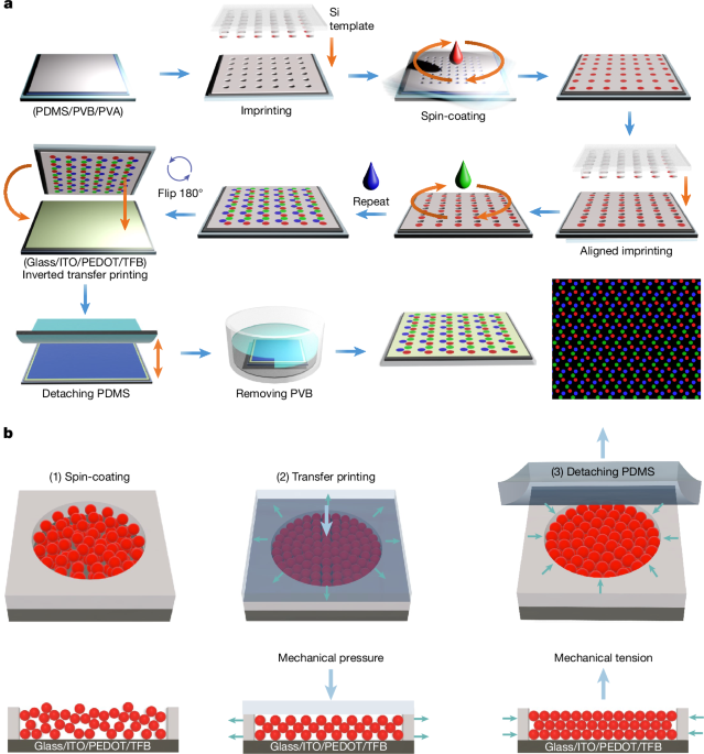 Nanoscale transfer-printed full-colour ultrahigh-resolution quantum dot LEDs - Nature