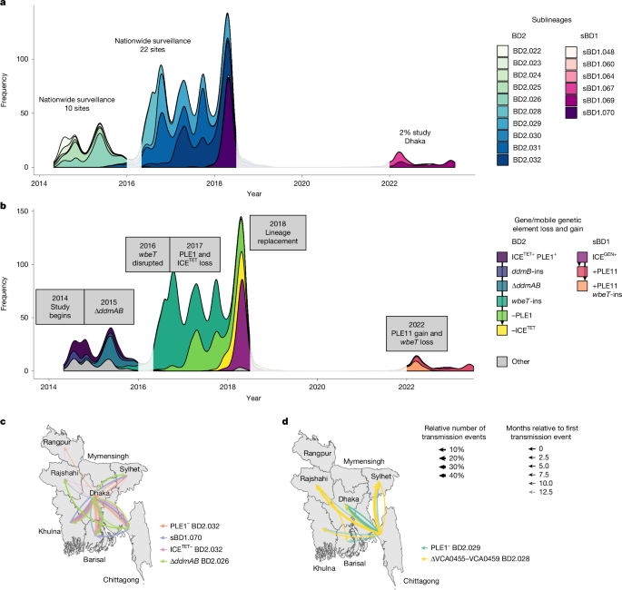 Evolution of pandemic cholera at its global source - Nature