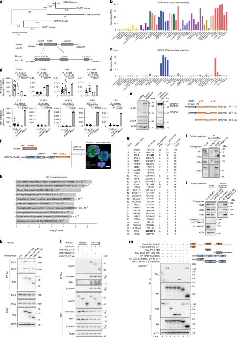 media.springernature.com image