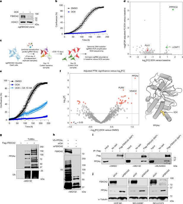 media.springernature.com image