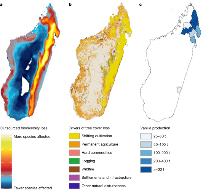 Overestimating outsourced biodiversity loss may misguide policy