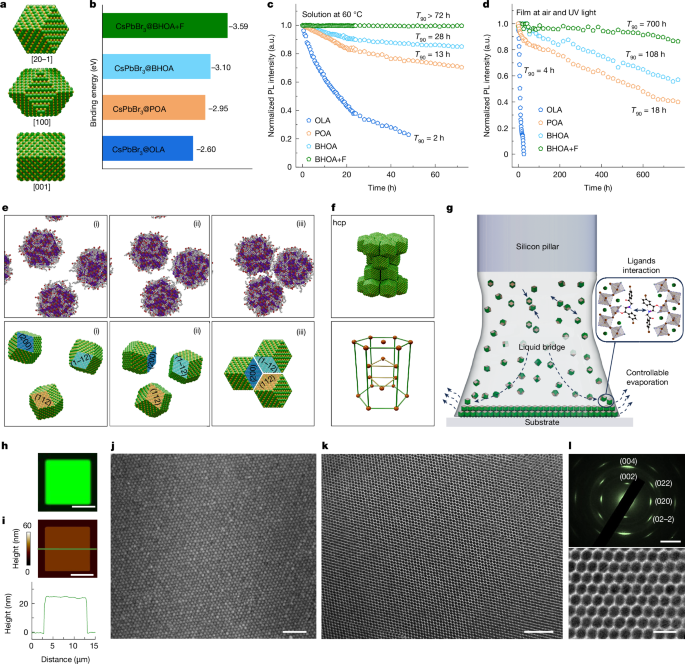 media.springernature.com image