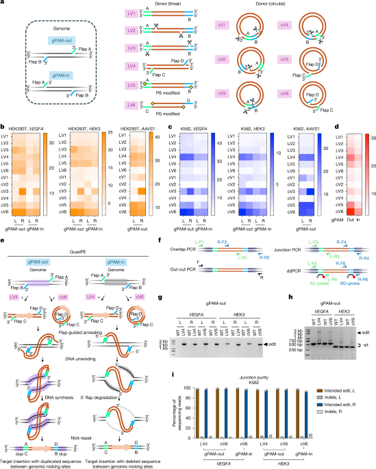 media.springernature.com image