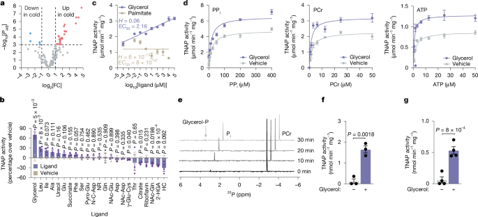 media.springernature.com image