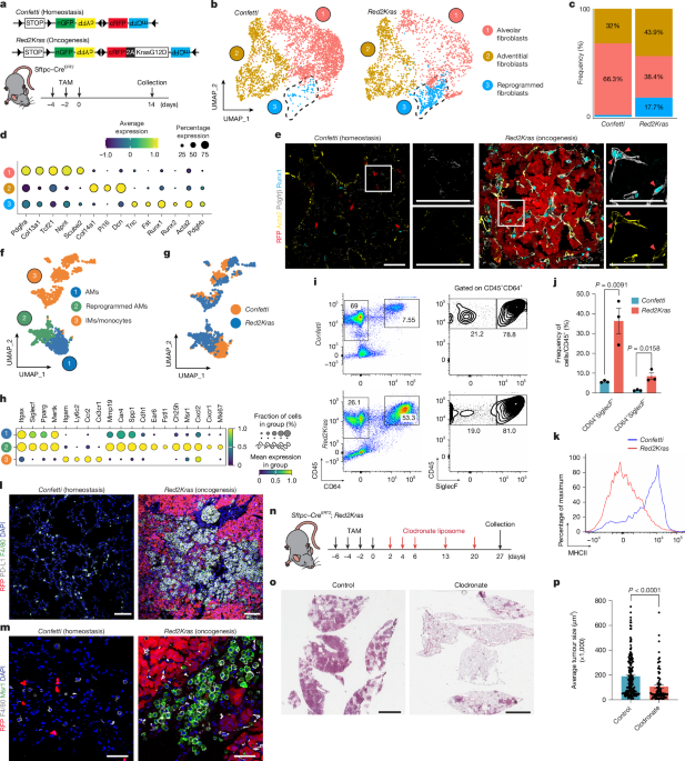 media.springernature.com image