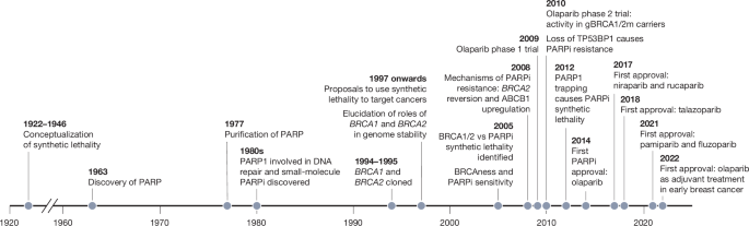Two decades of PARP inhibitor synthetic lethality in cancer