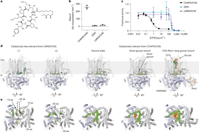 media.springernature.com image
