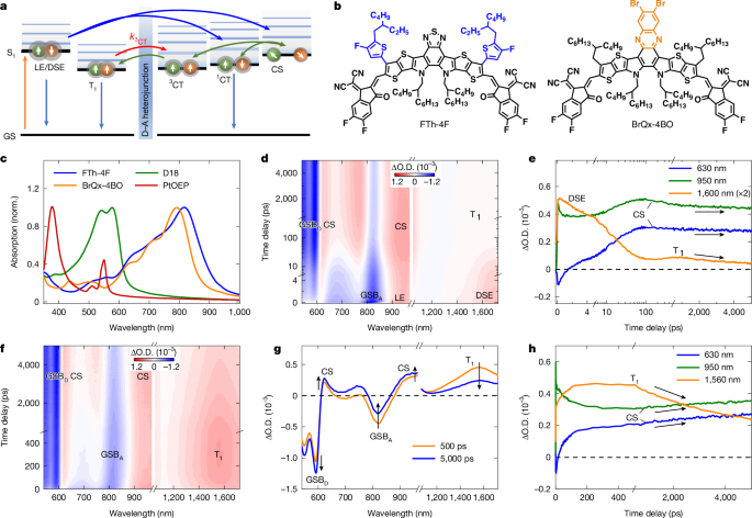 Recycling of spin-triplet excitons in organic photovoltaics