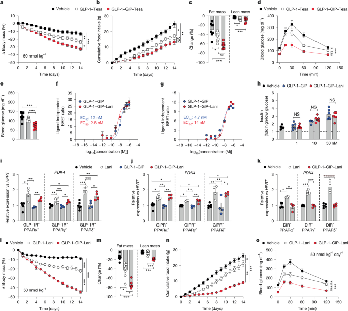 GLP-1R–GIPR–PPARα/γ/δ quintuple agonism corrects obesity and diabetes in mice