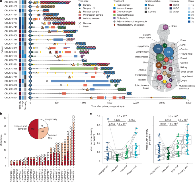 Evolutionary characterization of lung cancer metastasis