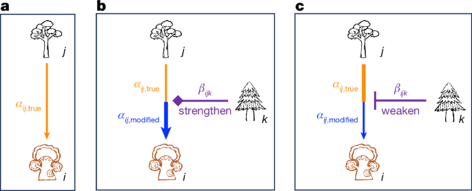 Higher-order interactions enhance the latitudinal tree diversity gradient