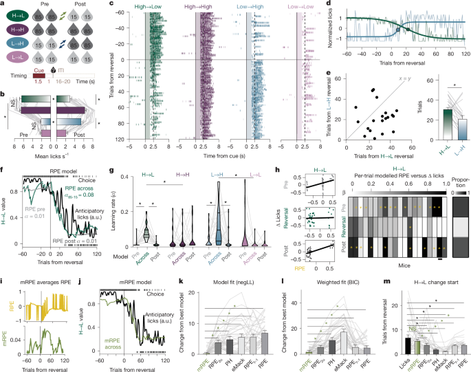 Prefrontal to ventral tegmental area dynamics drive contingency degradation