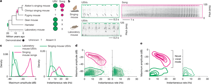 Specific expansion of motor cortical projections in a singing mouse