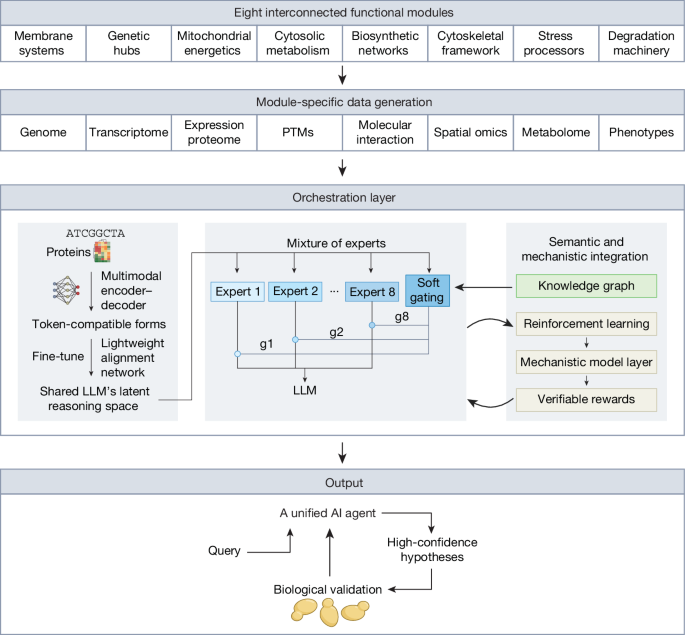 Towards the construction of a virtual yeast