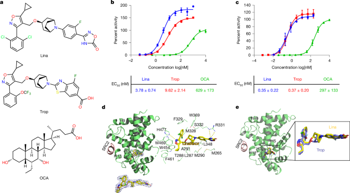 A first-in-class pulsatile FXR agonist for bile-acid-related liver diseases