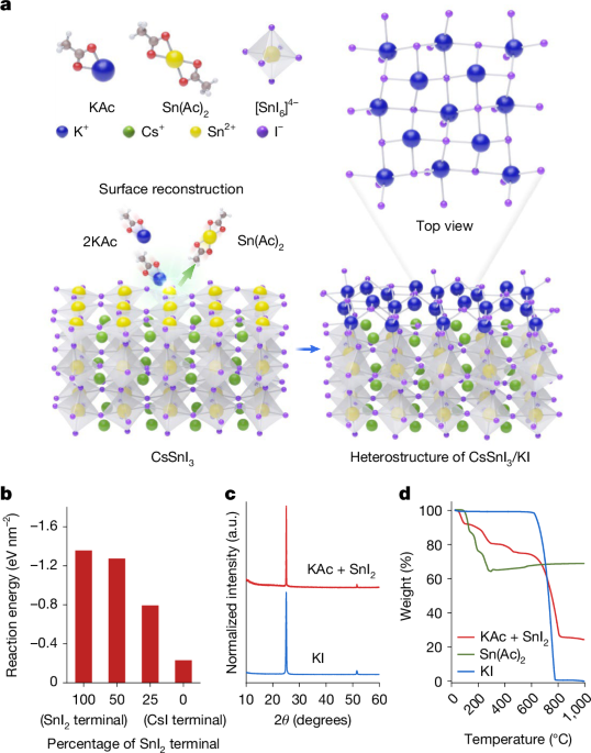 Tin perovskite transistors stabilized through volatile coordination