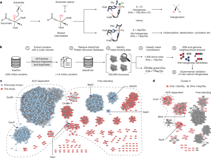 Targeted enzyme discovery using metal-coordination mining
