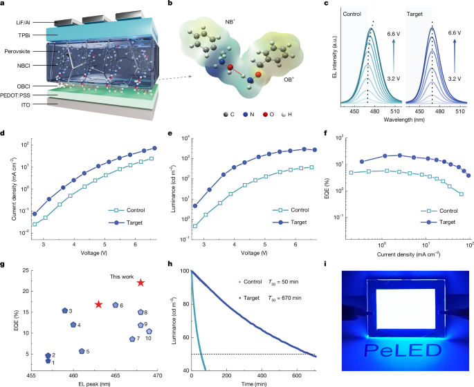 Isomeric multi-hydrogen-bonding enables blue perovskite LEDs
