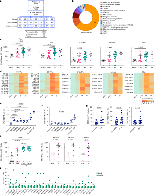 Identification of cross-stage, cross-species malaria CD8<sup>+</sup> T cell antigens