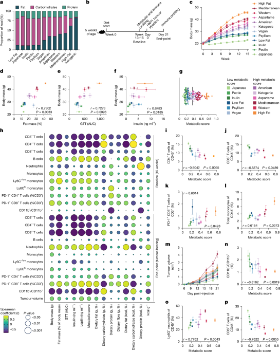 Diet–microbiome synergy underlies obesity-associated immunotherapy efficacy