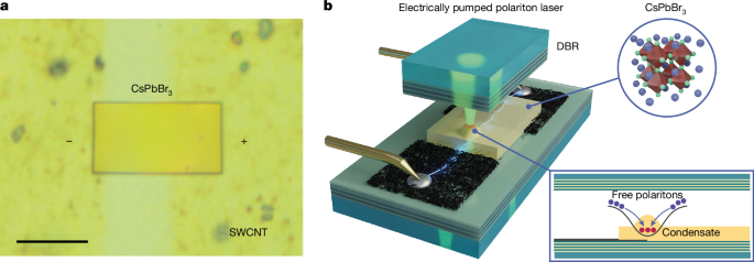 Non-epitaxial perovskite polariton laser diode operating under direct current