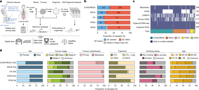 A tumour-derived organoid biobank maps cancer gene dependencies