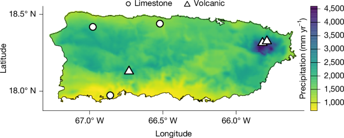 Species intraspecific variation drives tropical forest drought resistance