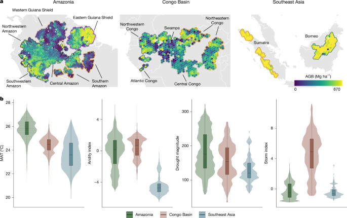 Heterogeneous climatic controls on tropical-forest biomass