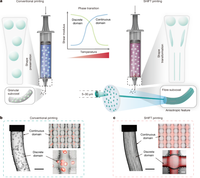 In situ particle-to-fibre transformation of hydrogels for 3D printing