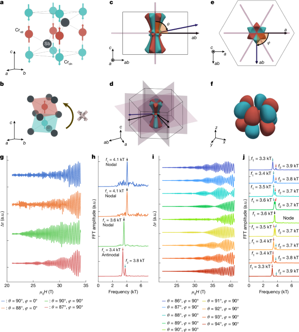 3D bulk-resolved <i>g</i>-wave altermagnetic order parameter in CrSb