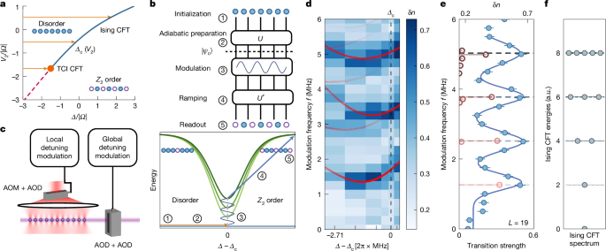 Observation of conformal field theory spectra in a quantum simulator