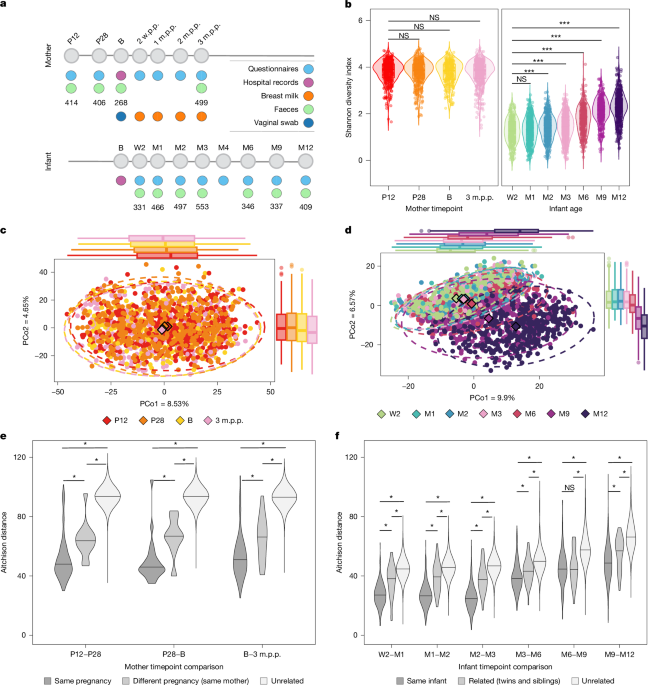 Maternal influences on infant gut microbiome and health