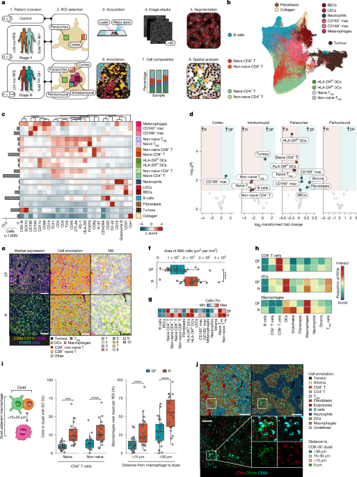 PLA2G2D in tumour-draining lymph nodes regulates anti-tumour immunity