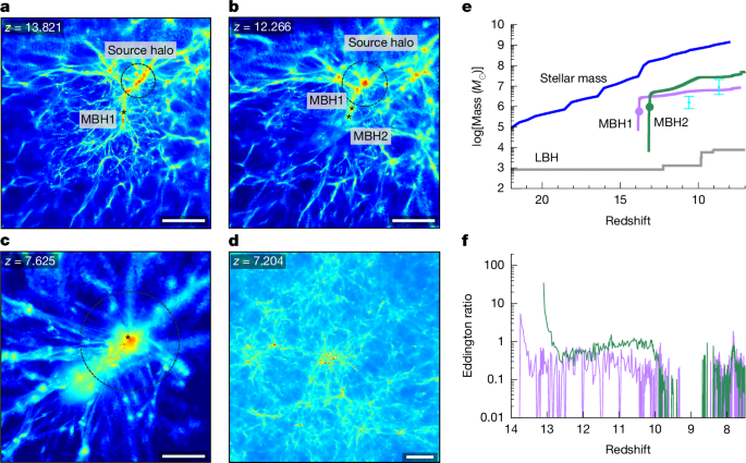 Overmassive black holes and little red dots naturally form in simulations – Nature
