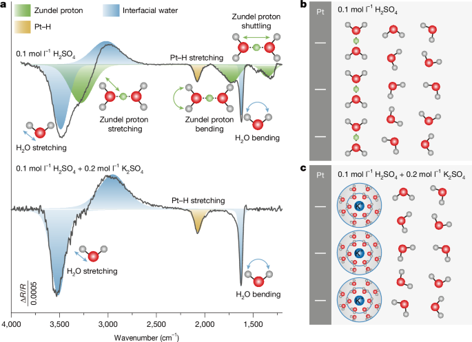 Probing far-from-equilibrium dynamics of electrical double layers