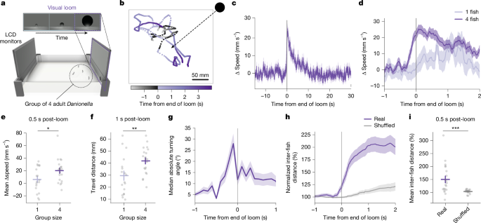 Neuronal detection of social actions directs collective escape behaviour