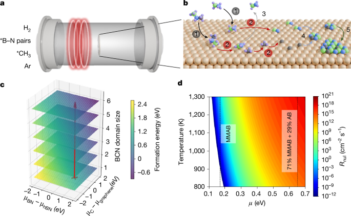 Wafer-scale epitaxy growth of high-mobility p-type boron carbon nitride