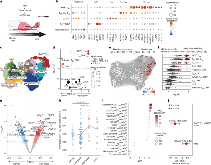 A preinvasive regulatory T cell axis for lung cancer interception
