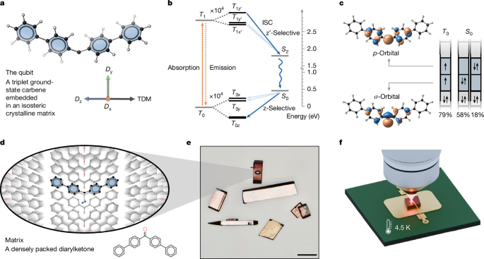 A single-molecule spin–photon interface