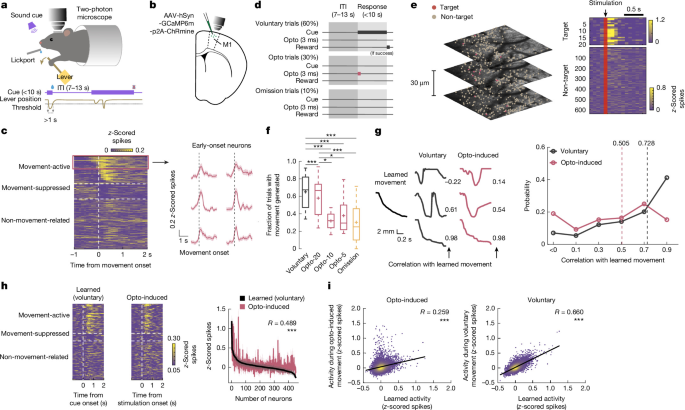 Targeted stimulation of motor cortex ensembles drives learned movements