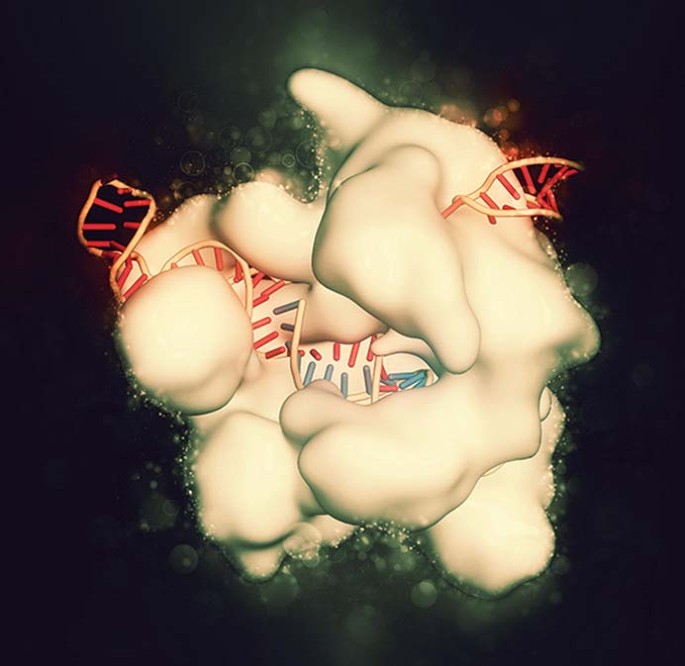 Crispr target prediction remains blunt tool for clinical applications
