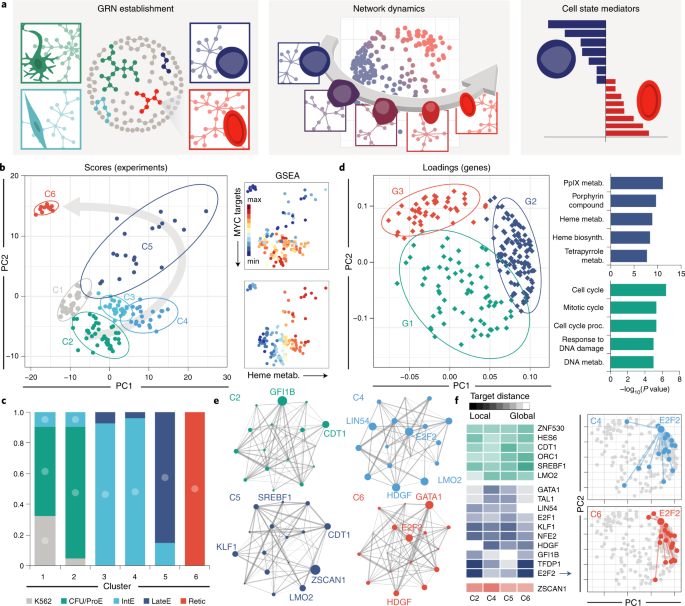 A Systems Biology Pipeline Identifies Regulatory Networks For Stem Cell Engineering Nature Biotechnology