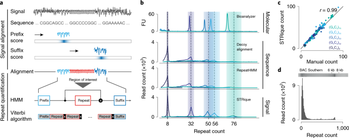 Analysis of short tandem repeat expansions and their methylation state with  nanopore sequencing | Nature Biotechnology