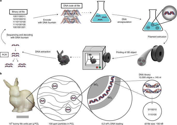 A Dna Of Things Storage Architecture To Create Materials With Embedded Memory Nature Biotechnology A Dna Of Things Storage Architecture To Create Materials With Embedded Memory Nature Biotechnology