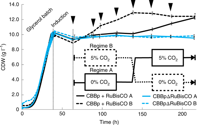 Adaptive laboratory evolution and reverse engineering enhances autotrophic  growth in Pichia pastoris - ScienceDirect