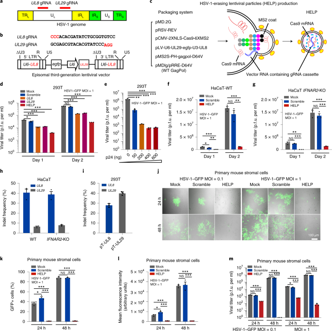 targeting herpes simplex virus with