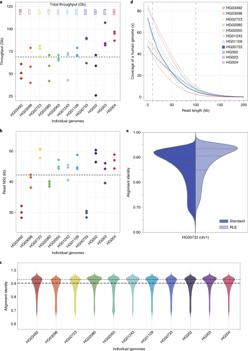 Nanopore sequencing and the Shasta toolkit enable efficient de novo assembly of eleven human genomes