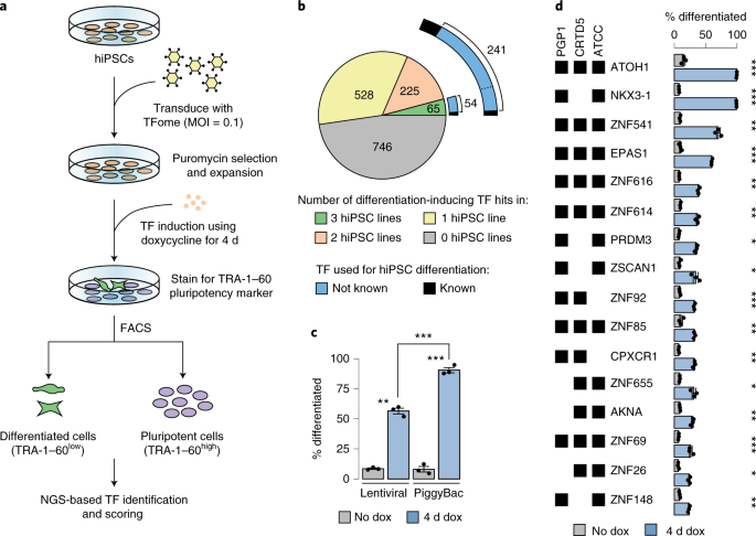 A comprehensive library of human transcription factors for cell fate engineering